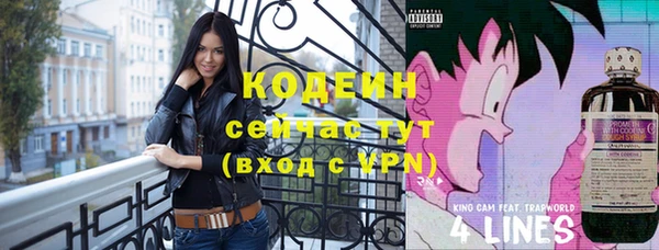 крисы Ижевск