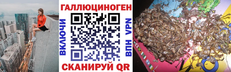 Псилоцибиновые грибы MAGIC MUSHROOMS  блэк спрут ссылки  Соль-Илецк 
