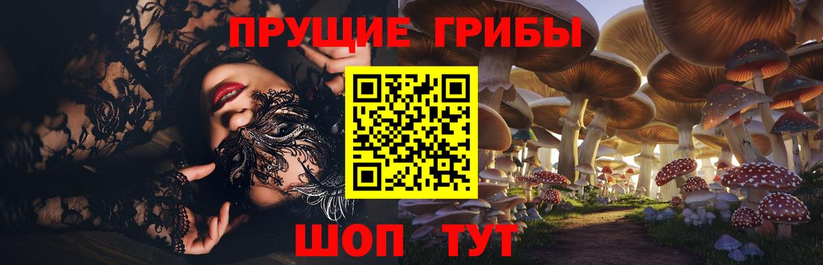 Галлюциногенные грибы Psilocybe Соль-Илецк