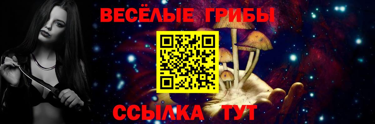 Псилоцибиновые грибы мухоморы  Вход с VPN  Соль-Илецк 